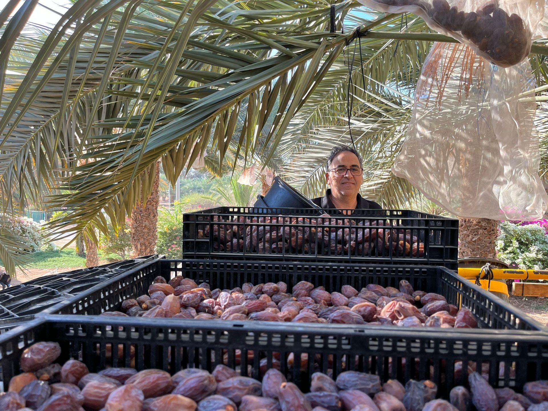 Products Desert Farmers