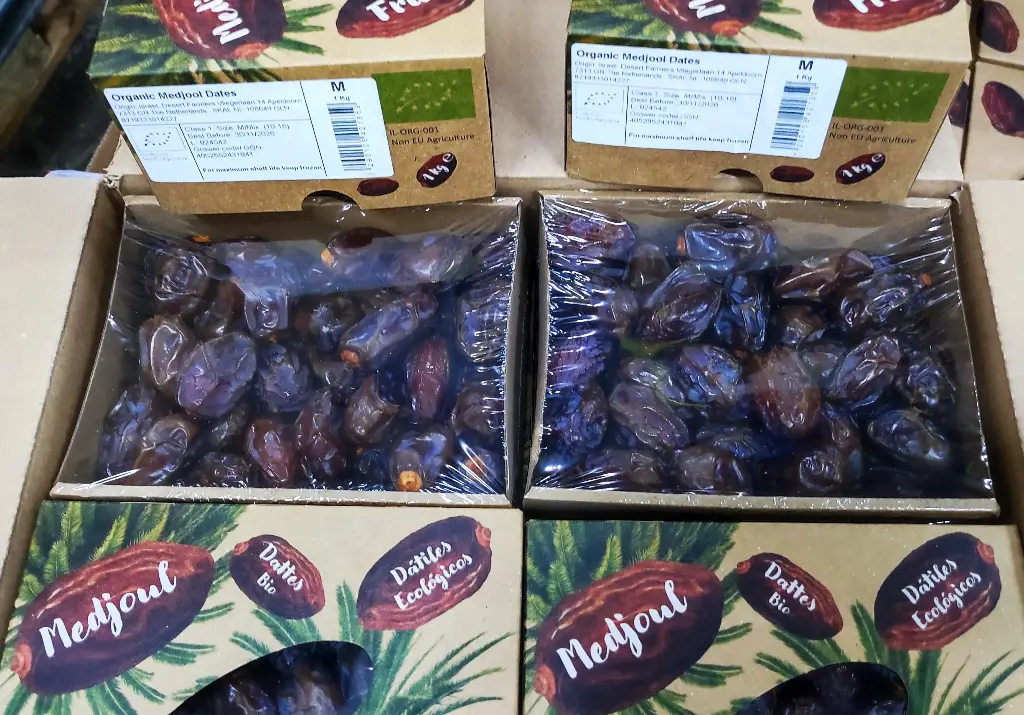 Ekologiska Medjoul Dadlar 8x1kg (Oasis)