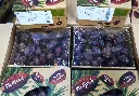 Dattes Medjoul Bio 8x1kg (Oasis)