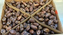 Organic Medjoul Dates Fancy 5kg [IL]